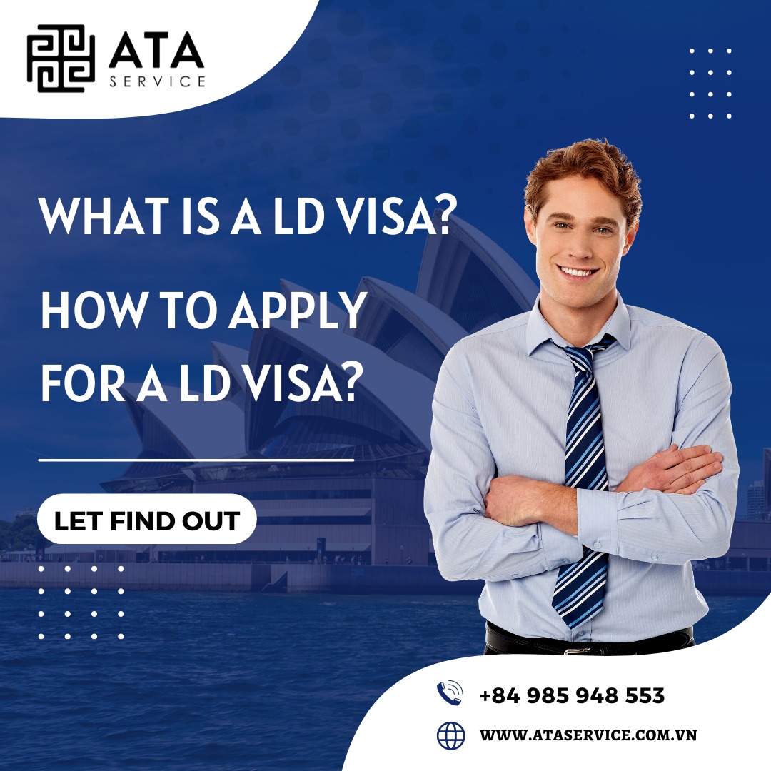 What is a work visa?